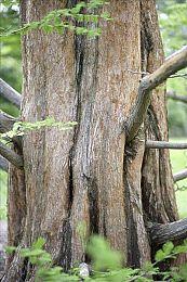 Epic游戏商城在过去一年里有2.95亿PC端玩家使用